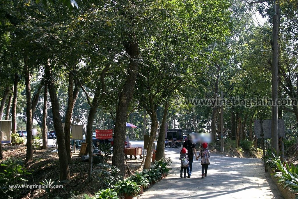 YTS_YTS_20190209_台南官田川文山森林生態保育農場／步道Tainan Guantian Chuan Wenshan Forest Ecological Conservation Farm088_539A9301.jpg