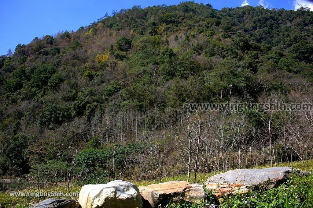 YTS_YTS_20190216_南投仁愛南投夢谷瀑布／南豐村玩水秘境Nantou Ren’ai Menggu Waterfall005_539A1730.jpg