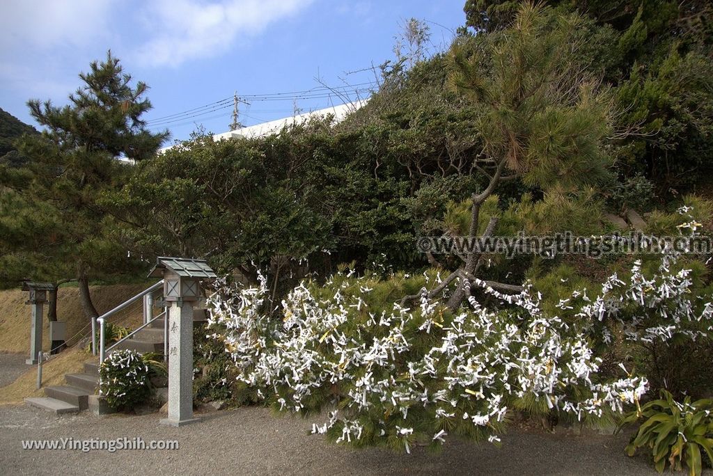 YTS_YTS_20190130_日本九州宮崎大御神社／龍宮（鵜戶神社）Japan Kyushu Miyazaki Myokokuji Omi Shrine034_3A5A6978.jpg