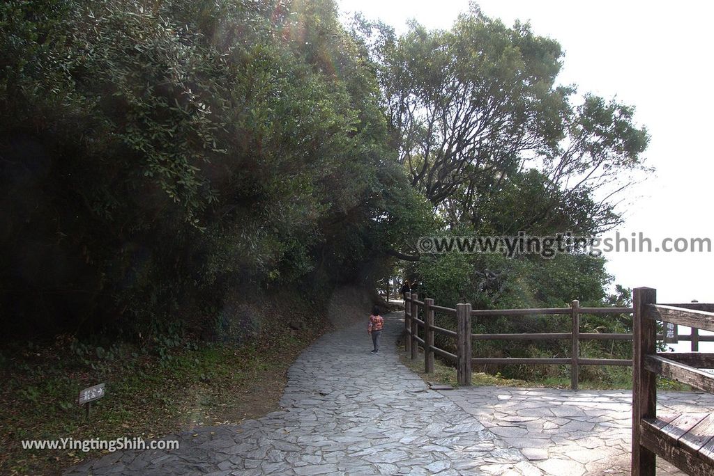 YTS_YTS_20190130_日本九州宮崎大御神社／龍宮（鵜戶神社）Japan Kyushu Miyazaki Myokokuji Omi Shrine103_3A5A7411.jpg