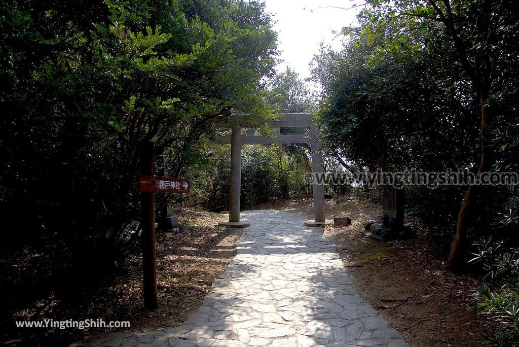 YTS_YTS_20190130_日本九州宮崎大御神社／龍宮（鵜戶神社）Japan Kyushu Miyazaki Myokokuji Omi Shrine106_3A5A7451.jpg