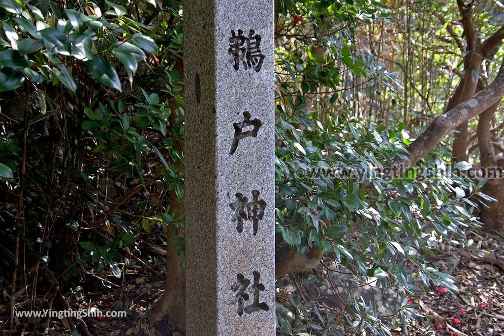 YTS_YTS_20190130_日本九州宮崎大御神社／龍宮（鵜戶神社）Japan Kyushu Miyazaki Myokokuji Omi Shrine108_3A5A7459.jpg