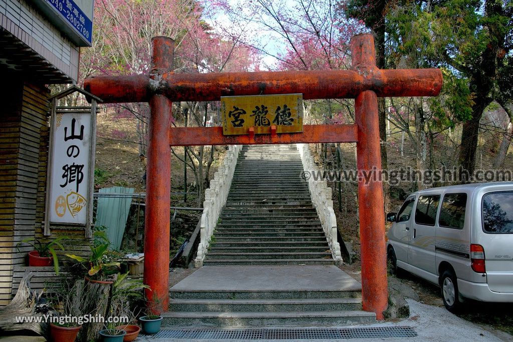 YTS_YTS_20190216_南投仁愛德龍宮／潮天堂／賞櫻Nantou Ren’ai Delong Temple Observation Deck003_539A2604.jpg