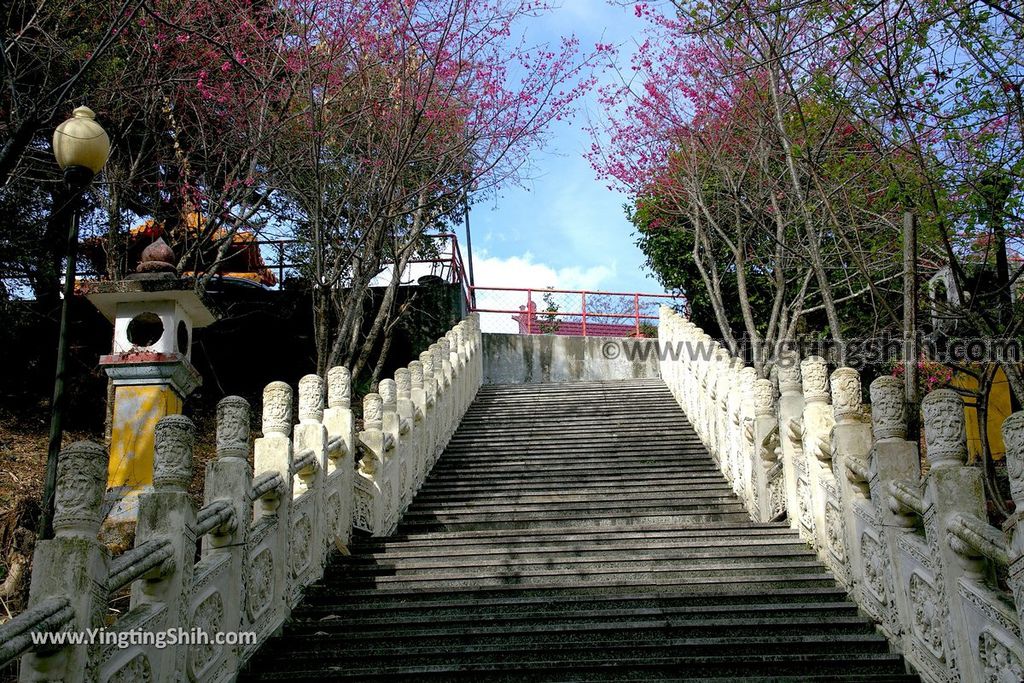 YTS_YTS_20190216_南投仁愛德龍宮／潮天堂／賞櫻Nantou Ren’ai Delong Temple Observation Deck011_539A2611.jpg