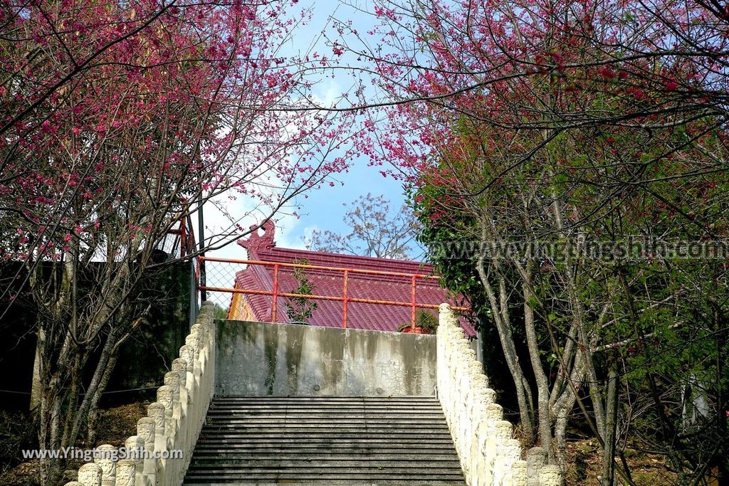 YTS_YTS_20190216_南投仁愛德龍宮／潮天堂／賞櫻Nantou Ren’ai Delong Temple Observation Deck012_539A2609.jpg