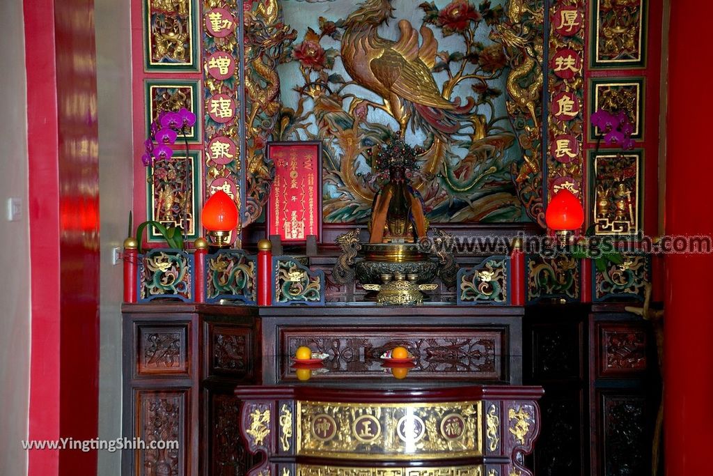 YTS_YTS_20190216_南投仁愛德龍宮／潮天堂／賞櫻Nantou Ren’ai Delong Temple Observation Deck047_539A2652.jpg