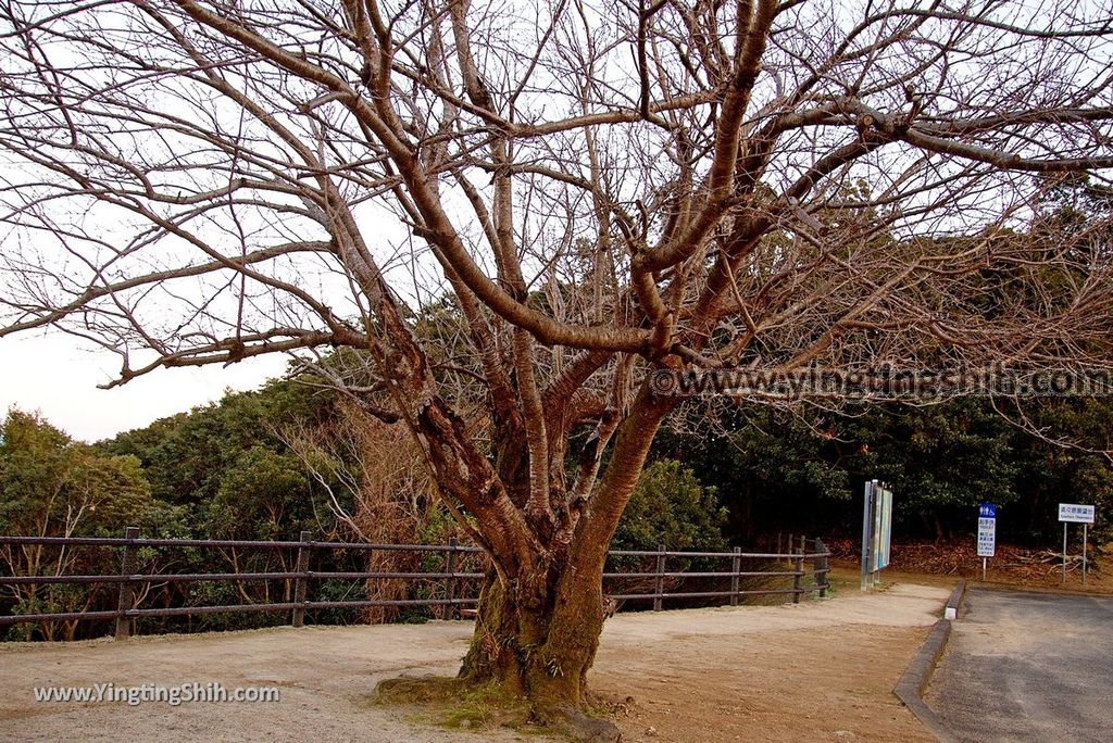 YTS_YTS_20190125_日本九州鹿兒島須々原展望台／錫山展望台Japan Kyushu Kagoshima Susuhara Observatory014_3A5A2082.jpg