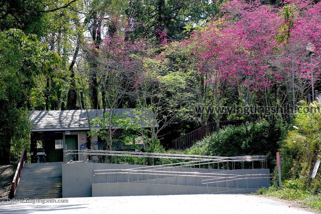 YTS_YTS_20190216_南投仁愛莫那魯道抗日紀念碑／霧社紀念公園Nantou Ren’ai Wushe Mona Rudo Resistance Monument007_539A2245.jpg