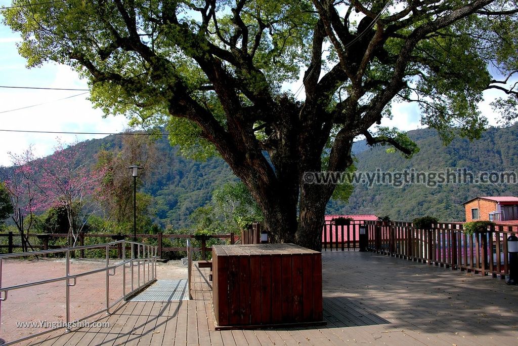 YTS_YTS_20190216_南投仁愛莫那魯道抗日紀念碑／霧社紀念公園Nantou Ren’ai Wushe Mona Rudo Resistance Monument017_539A2259.jpg