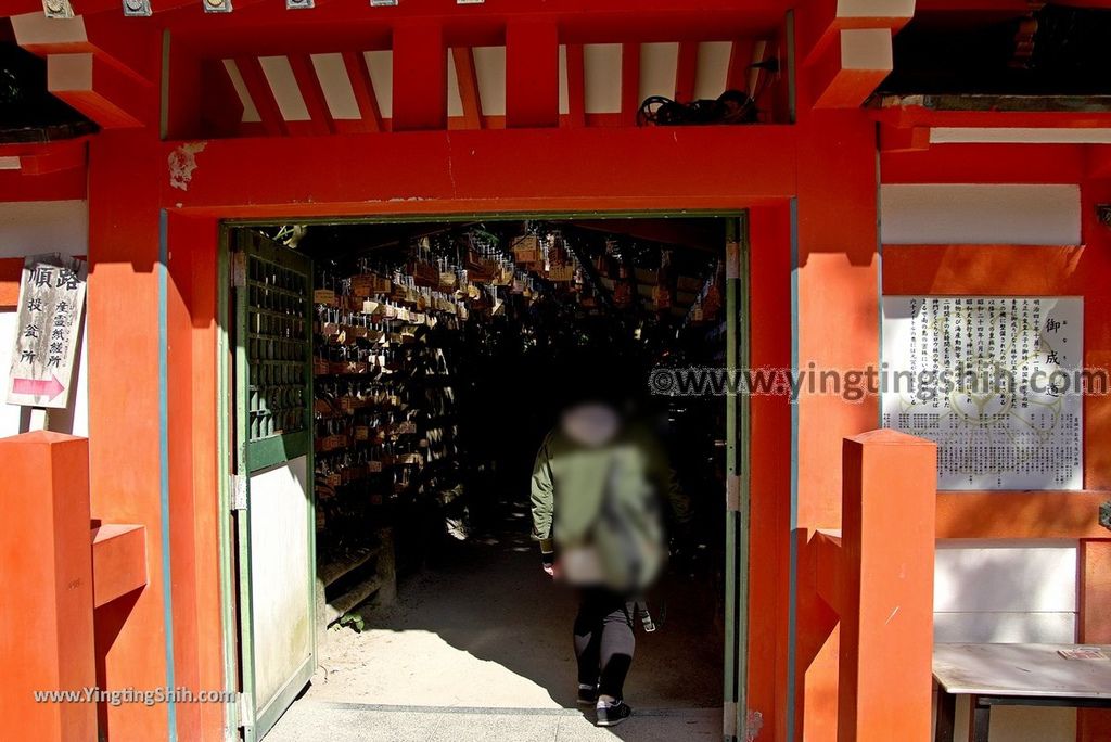 YTS_YTS_20190129_日本九州宮崎青島神社（姻緣之社）／鬼之洗衣板 Japan Kyushu Miyazaki Aoshima Shrine／Devil%5Cs Washboard123_3A5A3312.jpg