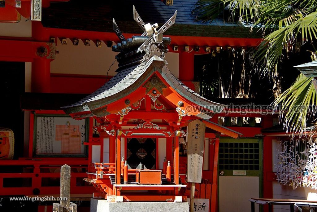 YTS_YTS_20190129_日本九州宮崎青島神社（姻緣之社）／鬼之洗衣板 Japan Kyushu Miyazaki Aoshima Shrine／Devil%5Cs Washboard142_3A5A3496.jpg