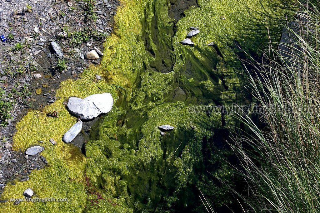 YTS_YTS_20190216_南投埔里南投觀音瀑布／觀音吊橋Nantou Puli Guanyin Falls021_539A1718.jpg