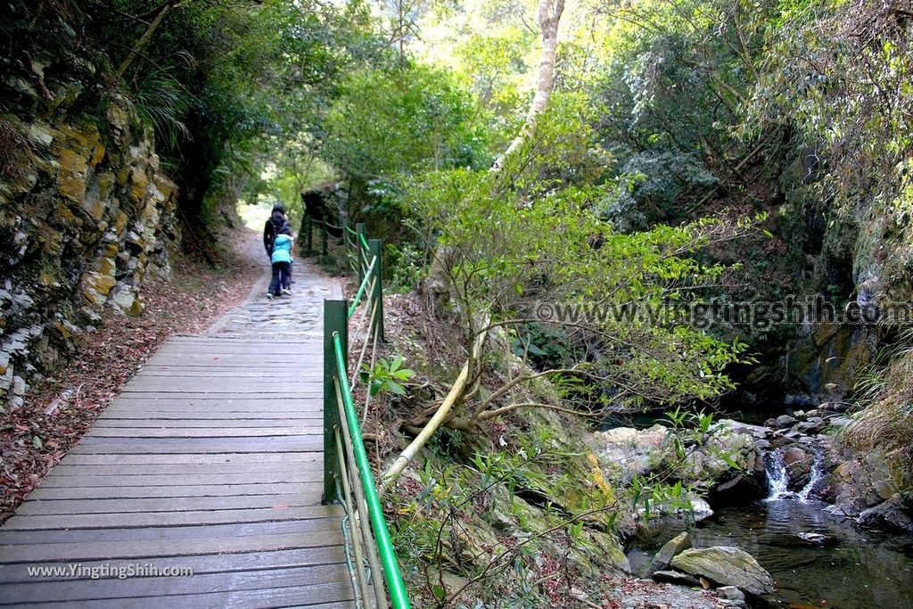 YTS_YTS_20190216_南投埔里南投觀音瀑布／觀音吊橋Nantou Puli Guanyin Falls052_539A1356.jpg