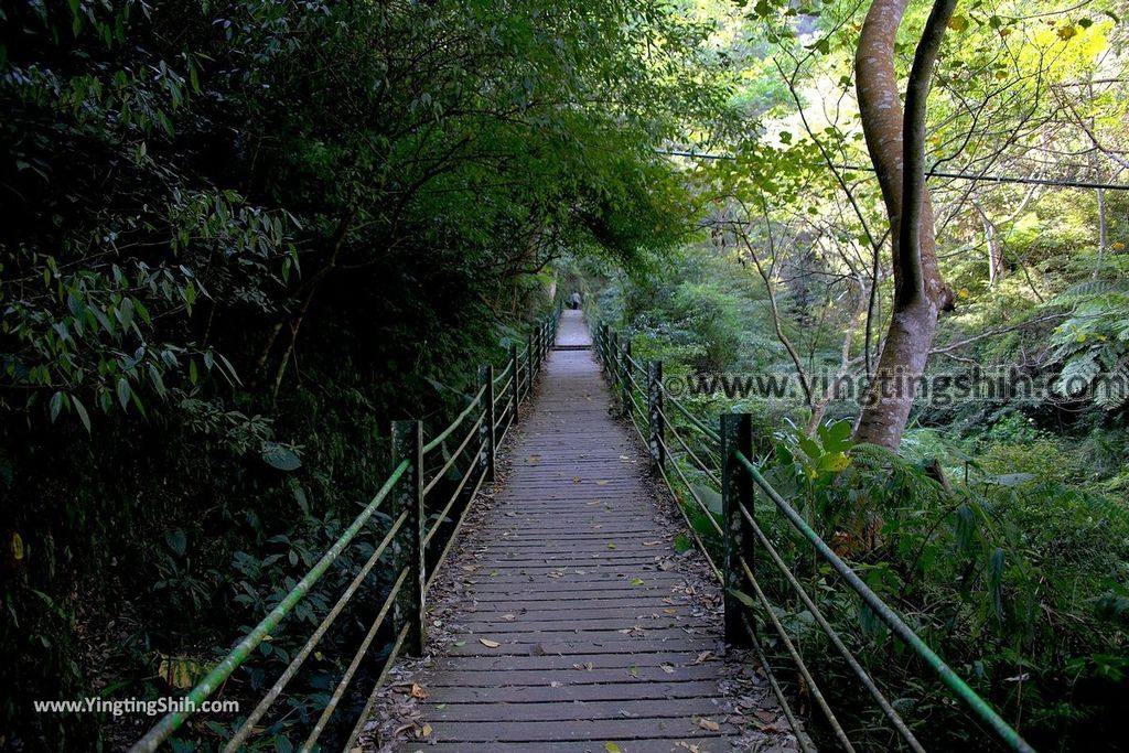 YTS_YTS_20190216_南投埔里南投觀音瀑布／觀音吊橋Nantou Puli Guanyin Falls060_539A1397.jpg