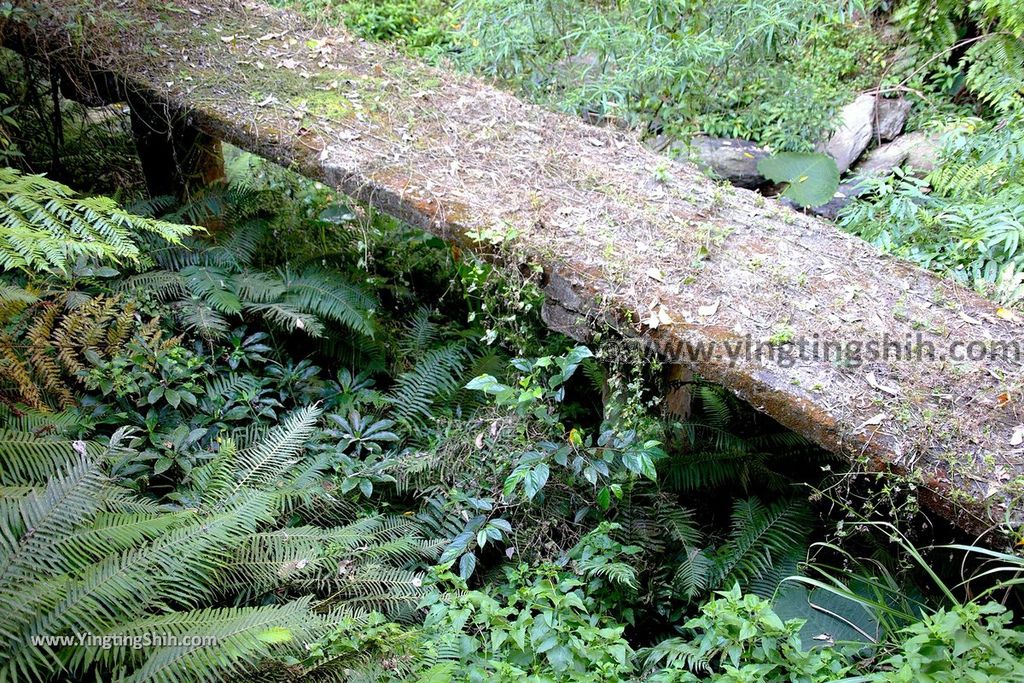 YTS_YTS_20190216_南投埔里南投觀音瀑布／觀音吊橋Nantou Puli Guanyin Falls062_539A1402.jpg