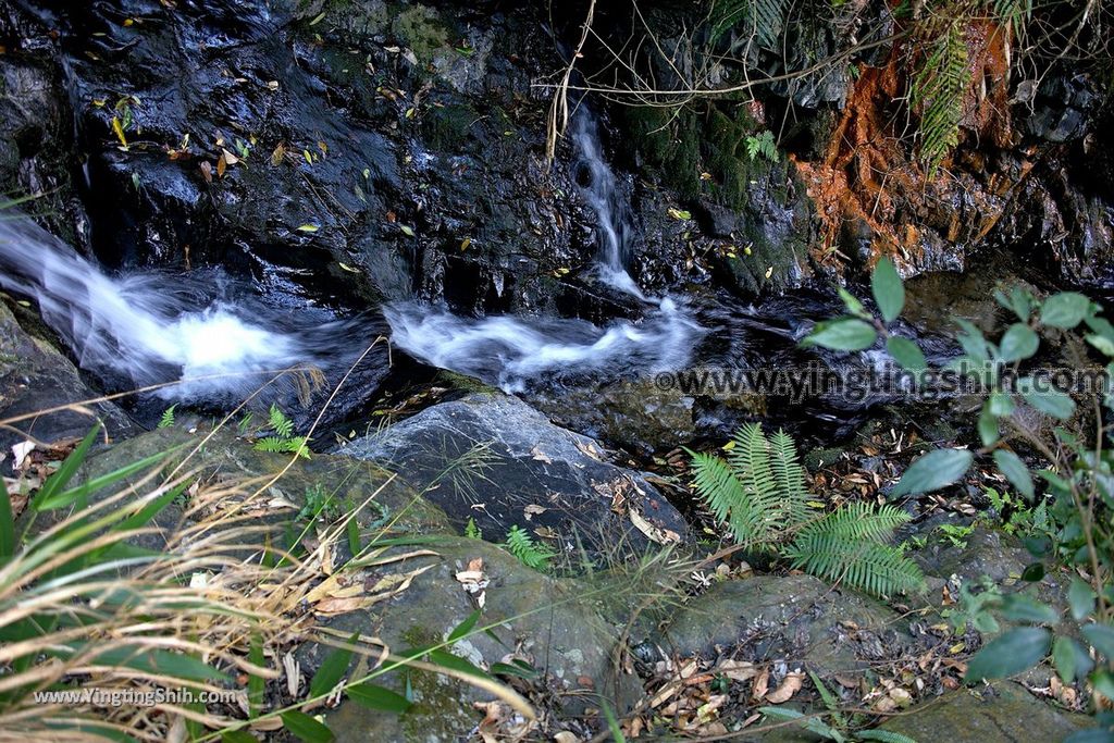 YTS_YTS_20190216_南投埔里南投觀音瀑布／觀音吊橋Nantou Puli Guanyin Falls066_539A1437.jpg