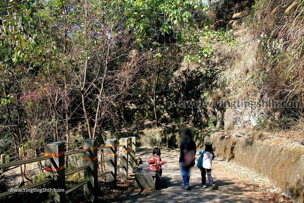 YTS_YTS_20190216_南投埔里南投觀音瀑布／觀音吊橋Nantou Puli Guanyin Falls084_539A1678.jpg