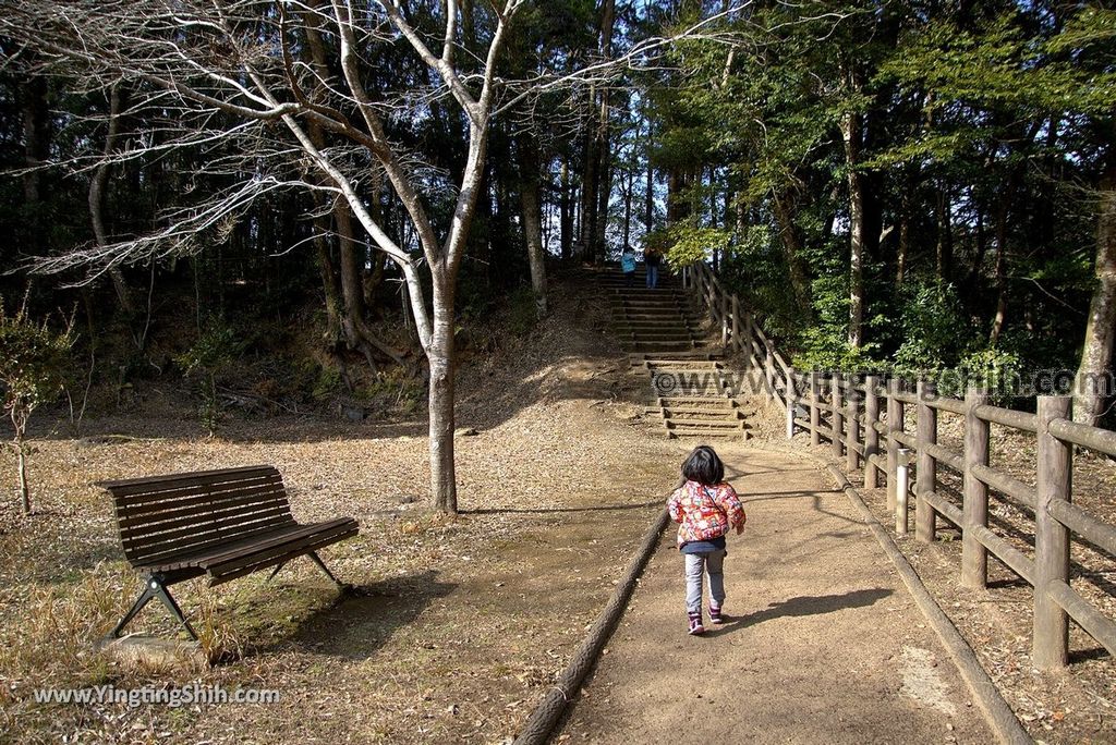 YTS_YTS_20190122_日本九州鹿兒島曾木發電所遺構展望公園／曾木瀑布Japan Kyushu Kagoshima Remains of the Sogi Power Station024_3A5A7152.jpg