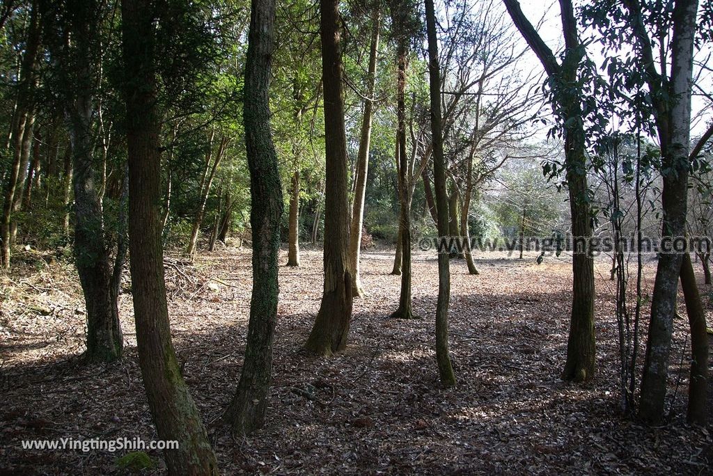 YTS_YTS_20190122_日本九州鹿兒島曾木發電所遺構展望公園／曾木瀑布Japan Kyushu Kagoshima Remains of the Sogi Power Station052_3A5A7527.jpg