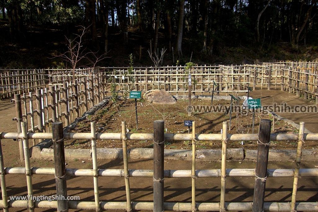 YTS_YTS_20190122_日本九州鹿兒島曾木發電所遺構展望公園／曾木瀑布Japan Kyushu Kagoshima Remains of the Sogi Power Station060_3A5A7613.jpg