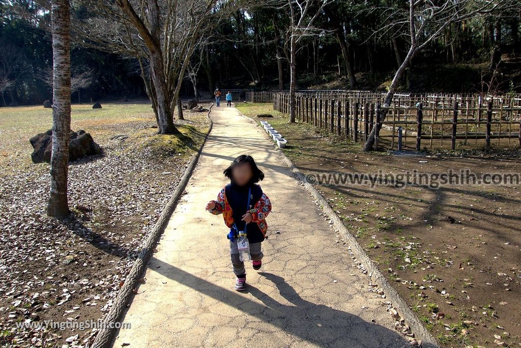 YTS_YTS_20190122_日本九州鹿兒島曾木發電所遺構展望公園／曾木瀑布Japan Kyushu Kagoshima Remains of the Sogi Power Station062_3A5A7626.jpg