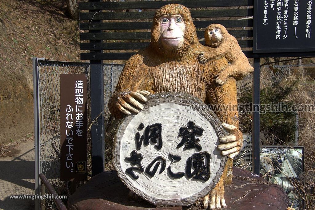 YTS_YTS_20190122_日本九州鹿兒島東洋的尼亞加拉瀑布／曽木の滝Japan Kyushu Kagoshima Sogi Falls212_3A5A6863.jpg