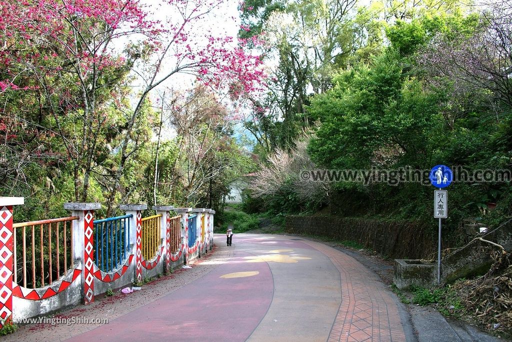 YTS_YTS_20190216_南投仁愛自然史教育館Nantou Ren’ai Museum of Natural History Education006_539A2505.jpg