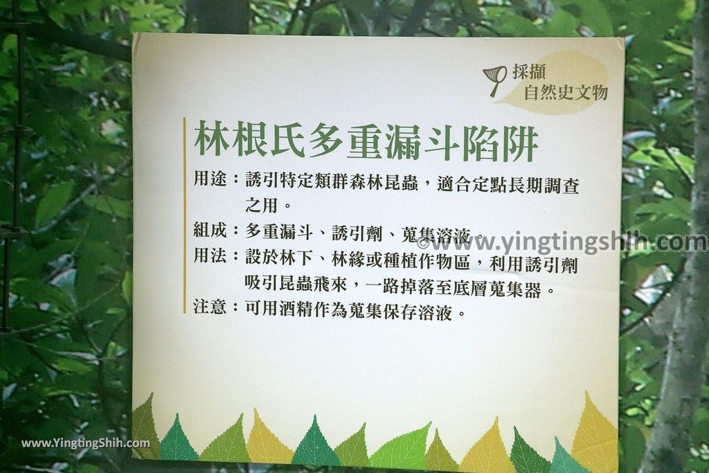 YTS_YTS_20190216_南投仁愛自然史教育館Nantou Ren’ai Museum of Natural History Education026_539A2423.jpg