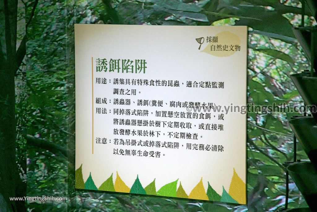 YTS_YTS_20190216_南投仁愛自然史教育館Nantou Ren’ai Museum of Natural History Education027_539A2424.jpg