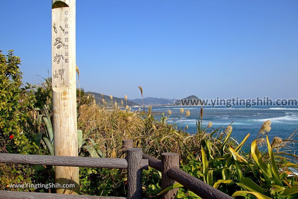 YTS_YTS_20190129_日本九州宮崎堀切峠／海豚岬／鬼洗板Japan Kyushu Miyazaki Horikiri Pass／Iruka Cape038_3A5A8564.jpg