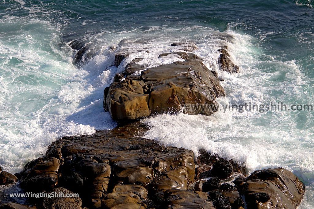 YTS_YTS_20190129_日本九州宮崎堀切峠／海豚岬／鬼洗板Japan Kyushu Miyazaki Horikiri Pass／Iruka Cape042_3A5A8621.jpg