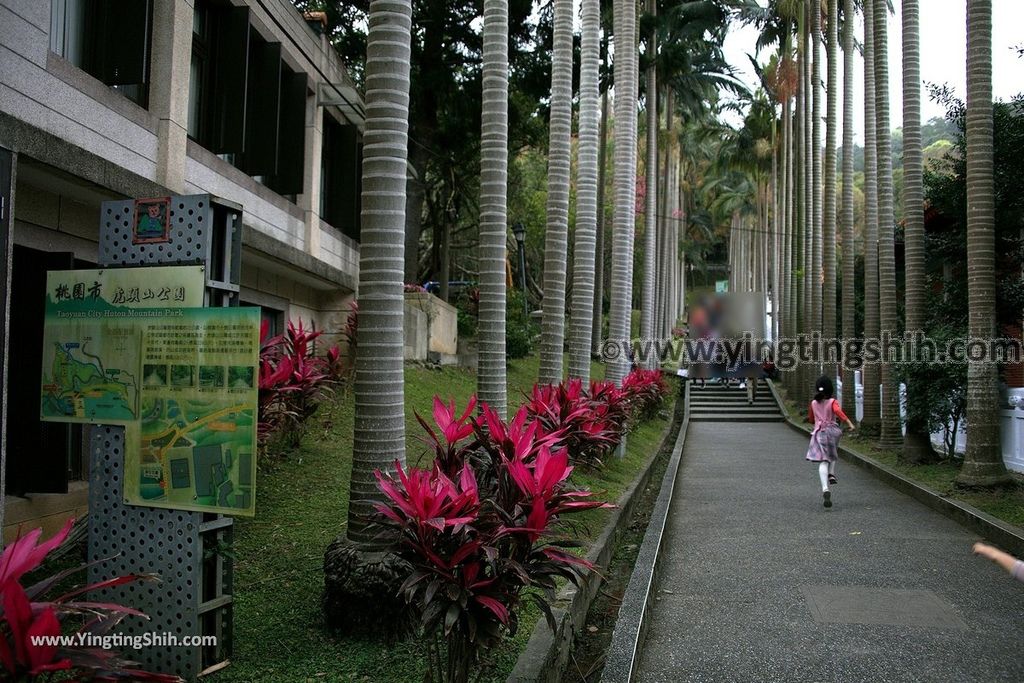 YTS_YTS_20190205_桃園市區奧爾森林學堂／虎頭山公園／竹園／經國梅園Taoyuan District Hutou Mountain Park004_539A7773.jpg