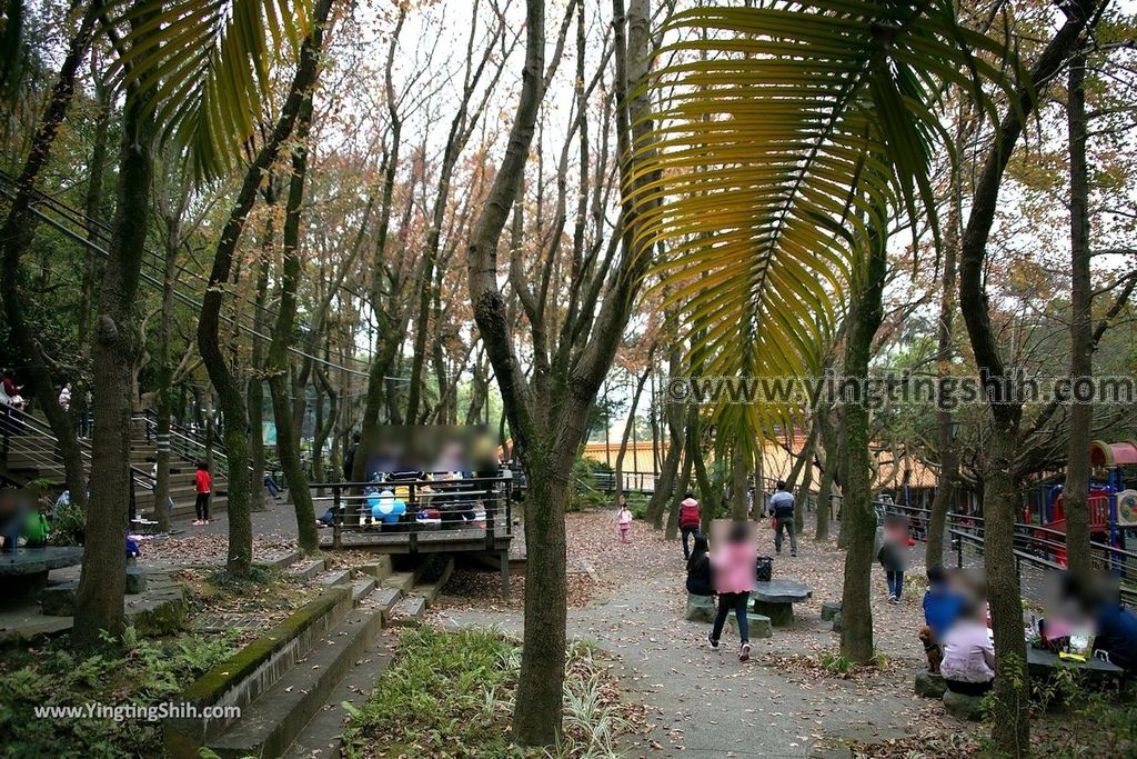 YTS_YTS_20190205_桃園市區奧爾森林學堂／虎頭山公園／竹園／經國梅園Taoyuan District Hutou Mountain Park036_539A7821.jpg