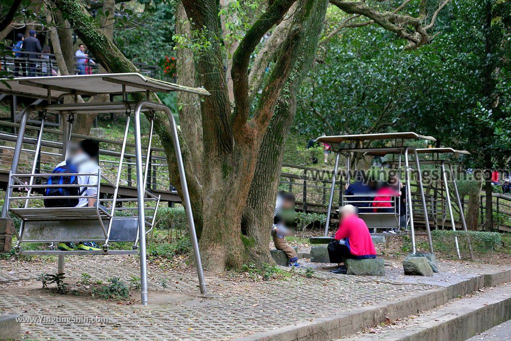 YTS_YTS_20190205_桃園市區奧爾森林學堂／虎頭山公園／竹園／經國梅園Taoyuan District Hutou Mountain Park037_539A7822.jpg