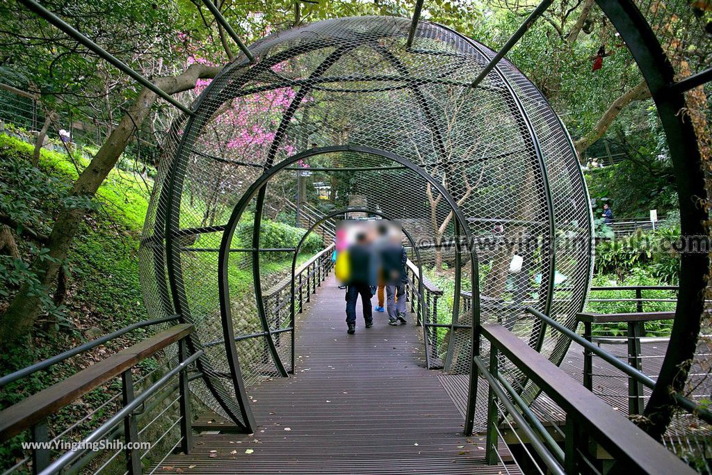 YTS_YTS_20190205_桃園市區奧爾森林學堂／虎頭山公園／竹園／經國梅園Taoyuan District Hutou Mountain Park047_539A7846.jpg