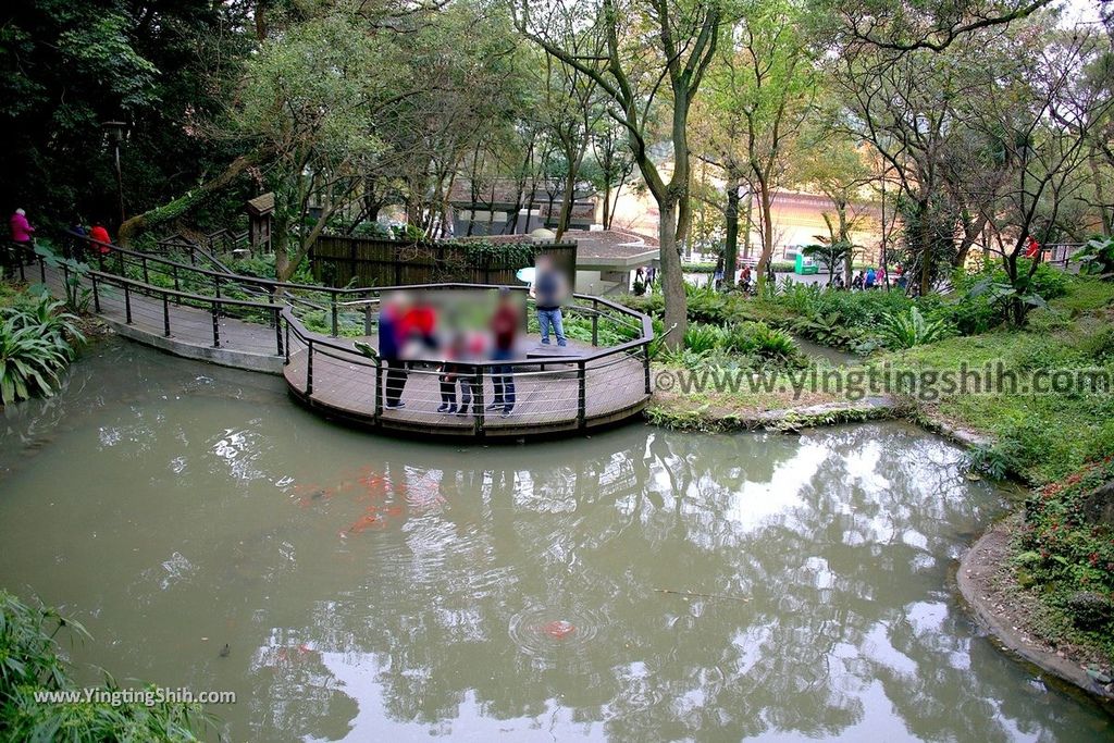 YTS_YTS_20190205_桃園市區奧爾森林學堂／虎頭山公園／竹園／經國梅園Taoyuan District Hutou Mountain Park051_539A7855.jpg