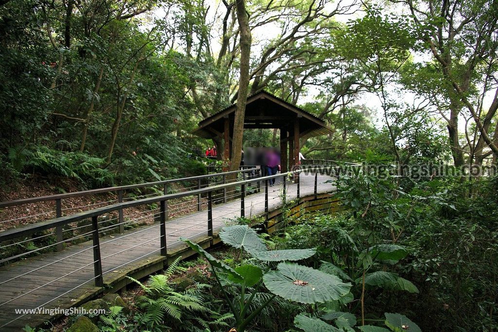 YTS_YTS_20190205_桃園市區奧爾森林學堂／虎頭山公園／竹園／經國梅園Taoyuan District Hutou Mountain Park066_539A7873.jpg