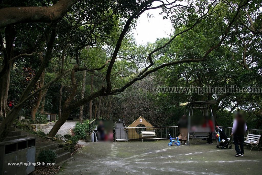 YTS_YTS_20190205_桃園市區奧爾森林學堂／虎頭山公園／竹園／經國梅園Taoyuan District Hutou Mountain Park091_539A7910.jpg