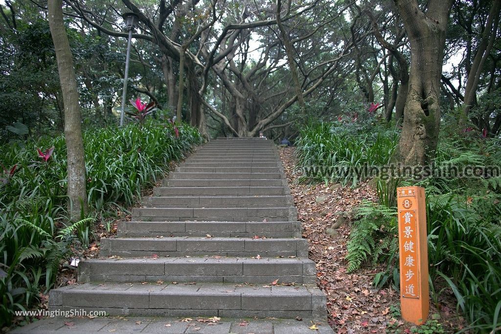 YTS_YTS_20190205_桃園市區奧爾森林學堂／虎頭山公園／竹園／經國梅園Taoyuan District Hutou Mountain Park107_539A7928.jpg