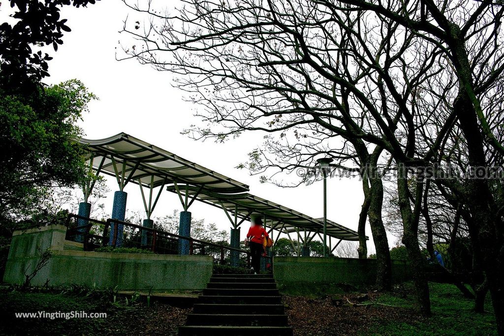 YTS_YTS_20190205_桃園市區奧爾森林學堂／虎頭山公園／竹園／經國梅園Taoyuan District Hutou Mountain Park116_539A7938.jpg