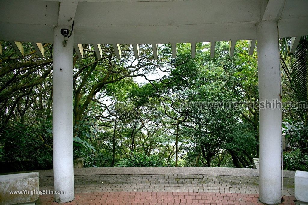 YTS_YTS_20190205_桃園市區奧爾森林學堂／虎頭山公園／竹園／經國梅園Taoyuan District Hutou Mountain Park148_539A7972.jpg