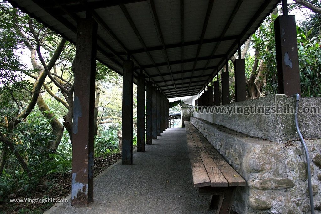 YTS_YTS_20190205_桃園市區奧爾森林學堂／虎頭山公園／竹園／經國梅園Taoyuan District Hutou Mountain Park153_539A7981.jpg