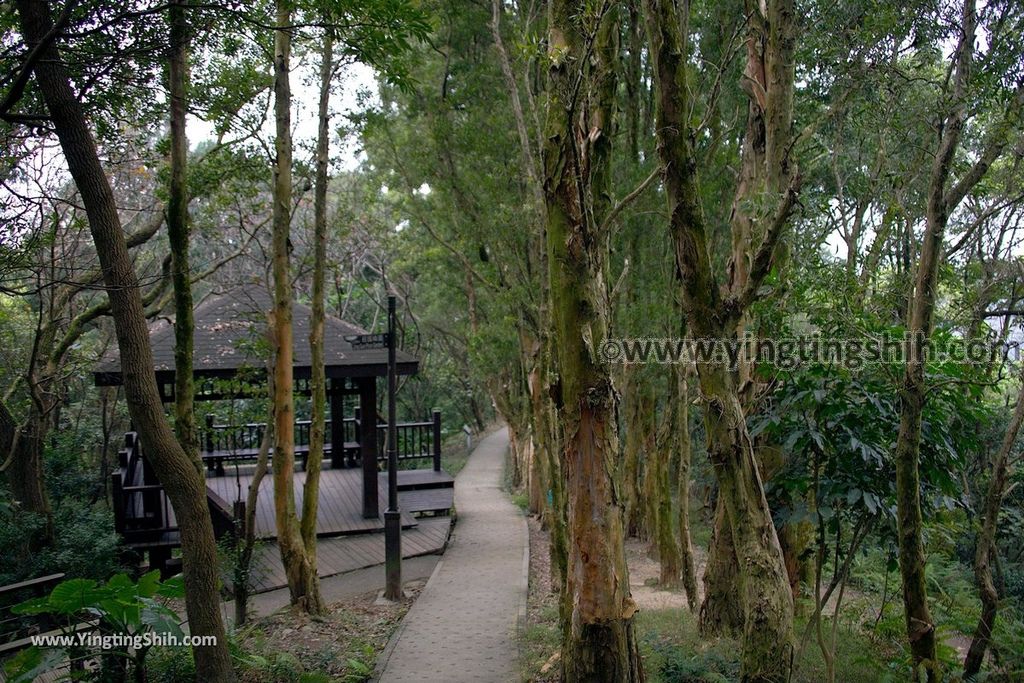 YTS_YTS_20190205_桃園市區奧爾森林學堂／虎頭山公園／竹園／經國梅園Taoyuan District Hutou Mountain Park163_539A7995.jpg