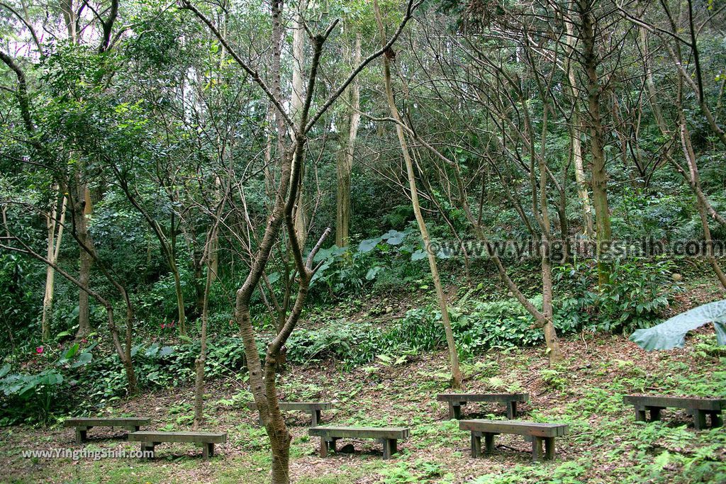 YTS_YTS_20190205_桃園市區奧爾森林學堂／虎頭山公園／竹園／經國梅園Taoyuan District Hutou Mountain Park173_539A8034.jpg