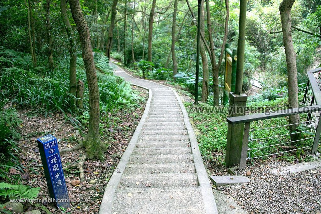 YTS_YTS_20190205_桃園市區奧爾森林學堂／虎頭山公園／竹園／經國梅園Taoyuan District Hutou Mountain Park178_539A8040.jpg