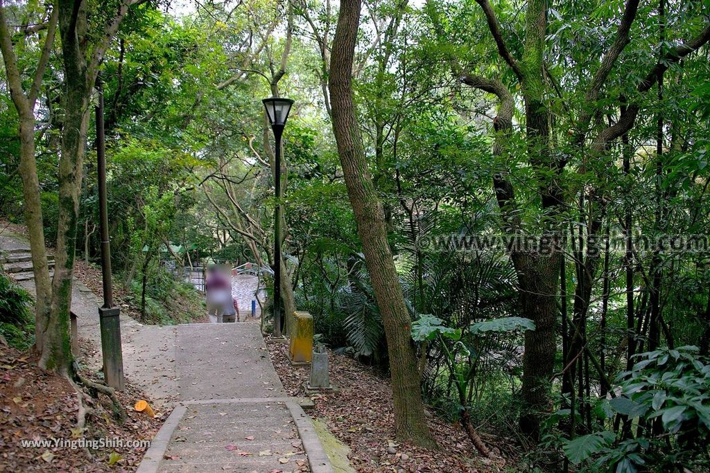 YTS_YTS_20190205_桃園市區奧爾森林學堂／虎頭山公園／竹園／經國梅園Taoyuan District Hutou Mountain Park183_539A8047.jpg