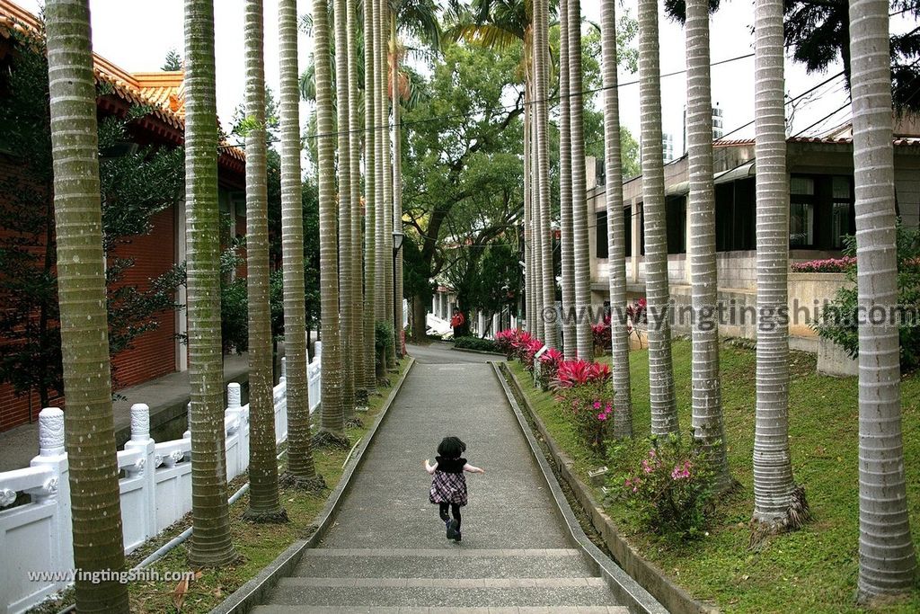 YTS_YTS_20190205_桃園市區奧爾森林學堂／虎頭山公園／竹園／經國梅園Taoyuan District Hutou Mountain Park205_539A8089.jpg