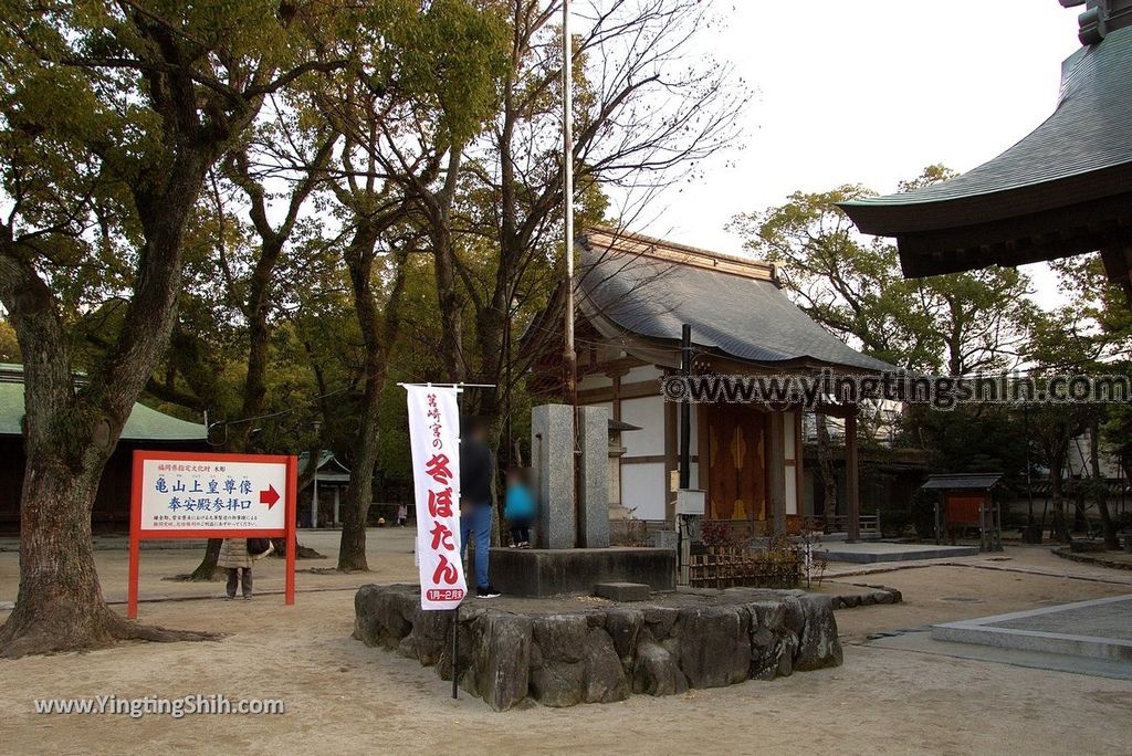 YTS_YTS_20190120_日本九州福岡筥崎宮（日本三大八幡宮）／惠光院Japan Kyushu Fukuoka Hakozaki Shrine065_3A5A5102.jpg