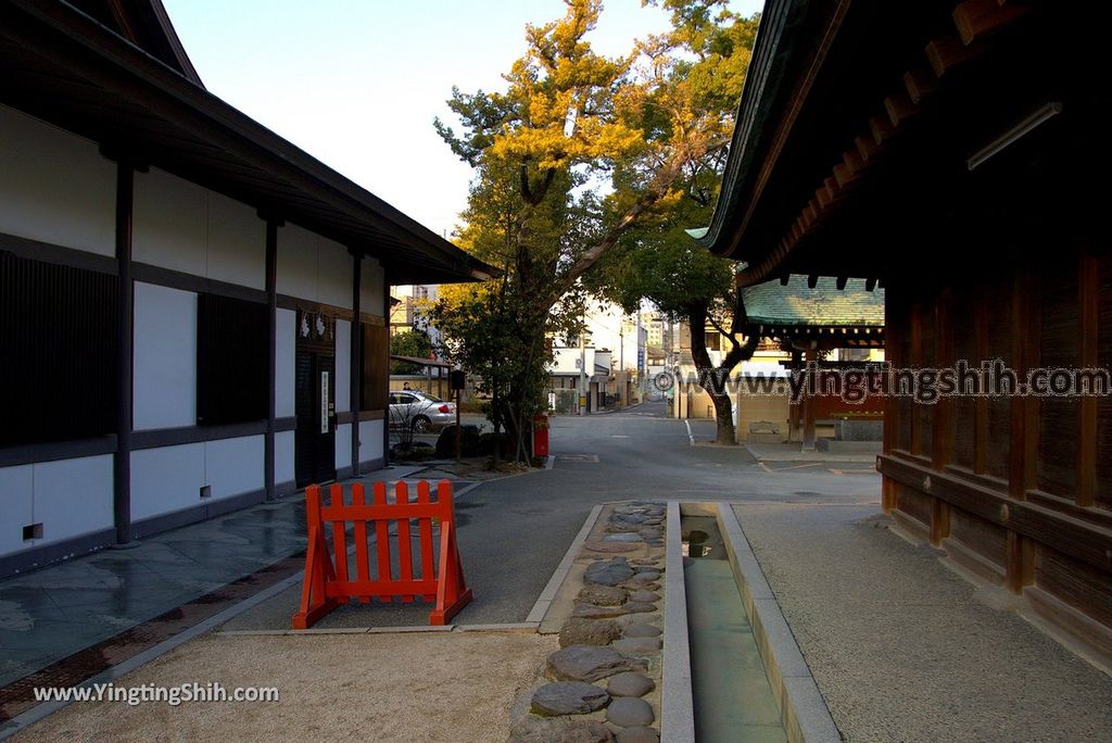 YTS_YTS_20190120_日本九州福岡筥崎宮（日本三大八幡宮）／惠光院Japan Kyushu Fukuoka Hakozaki Shrine107_3A5A5347.jpg