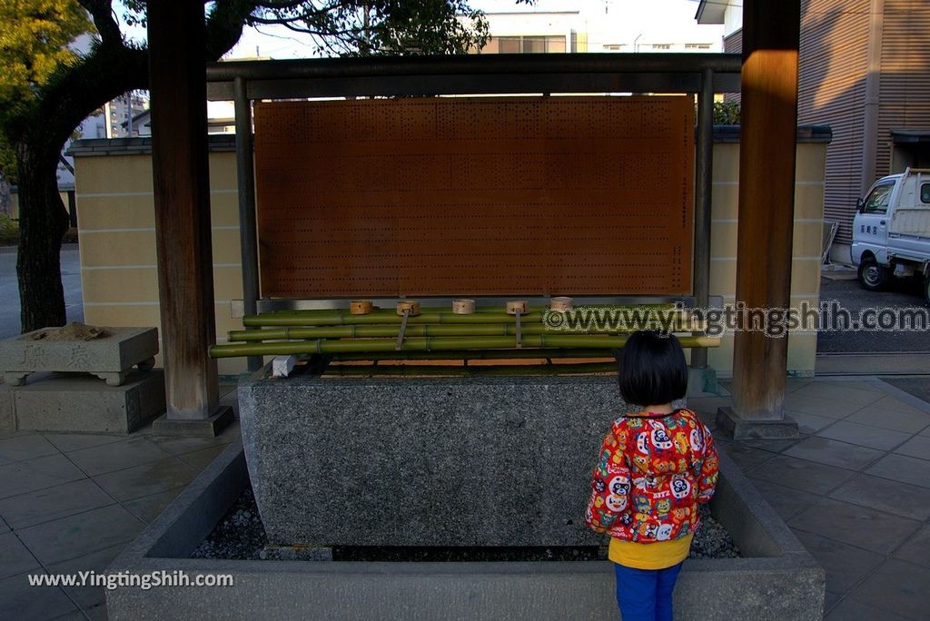 YTS_YTS_20190120_日本九州福岡筥崎宮（日本三大八幡宮）／惠光院Japan Kyushu Fukuoka Hakozaki Shrine110_3A5A5360.jpg